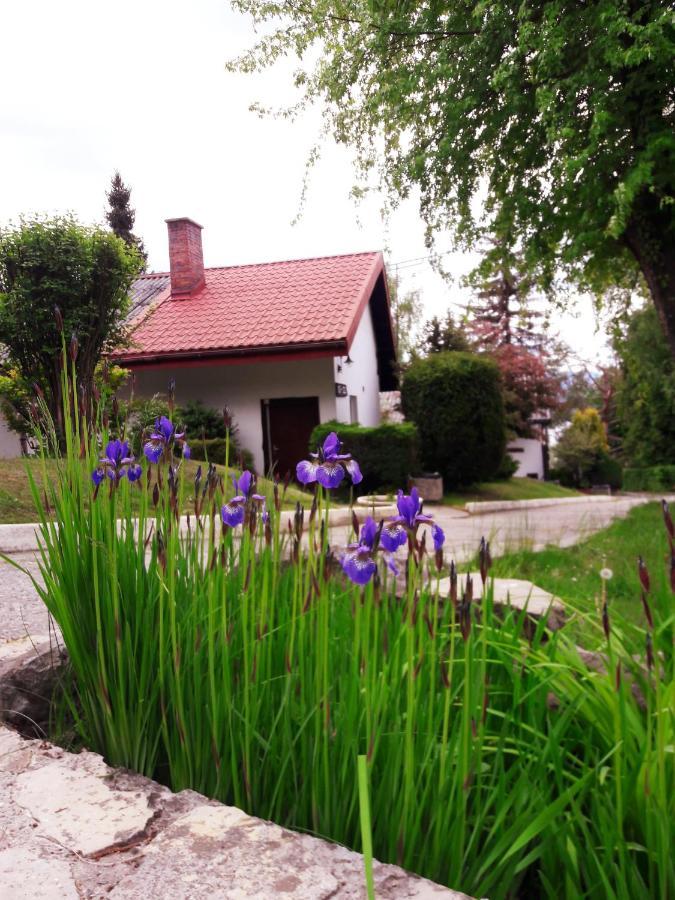Centrum Wypoczynku Odys Tresna Buitenkant foto